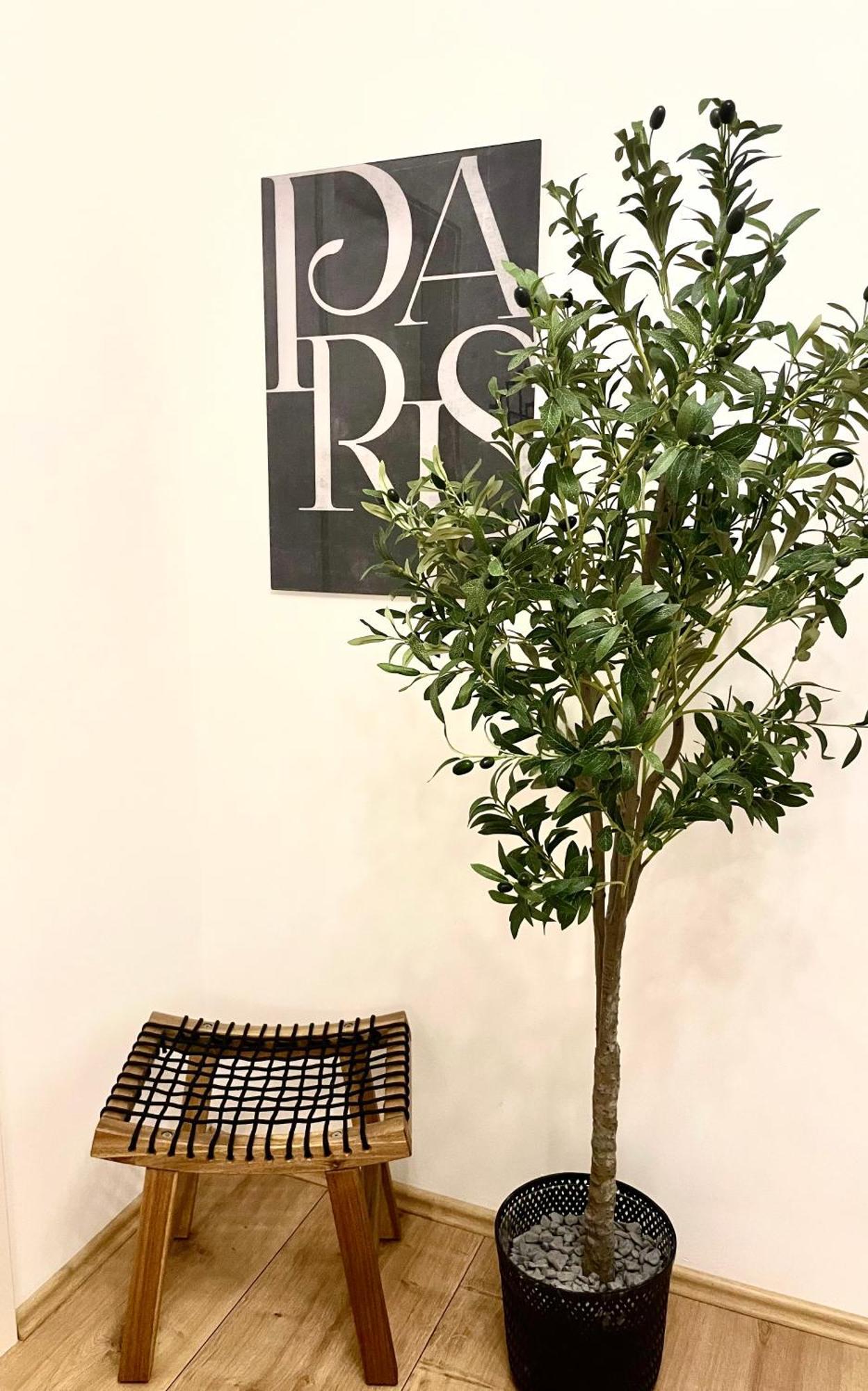 Modern Weserblick Apartment بريمين المظهر الخارجي الصورة